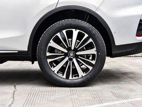 2025�� �Ǽݰ� DM-i 175KM ������