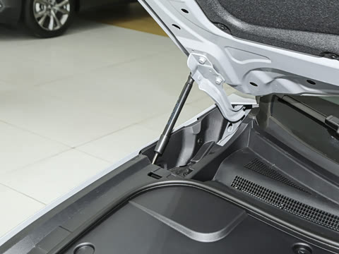 2025�� ����600�����˶���