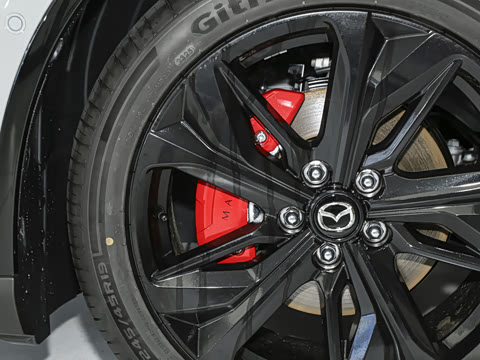 2025�� ����600�����˶���