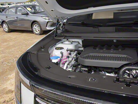 2026�� 1.5TD ˫��Ϻ��� 5��