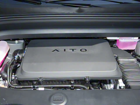 2026�� ���� Max������ 5��