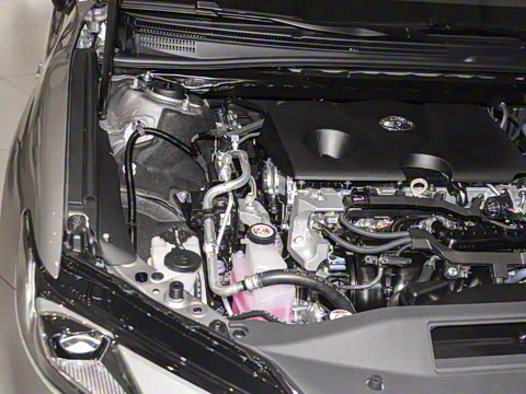 2026�� ˫�� 2.0HGVP ������