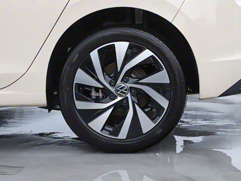 2025�� �Ŀ� 300TSI Pro