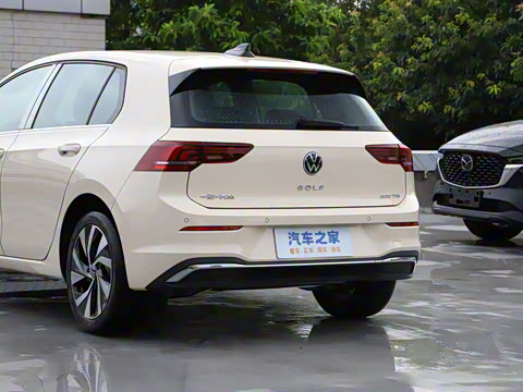 2025�� �Ŀ� 300TSI Pro