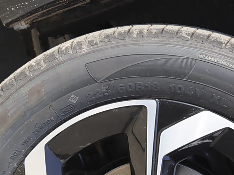 2026�� 530Խ����