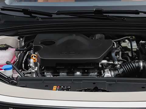 2026�� 1.5L �����