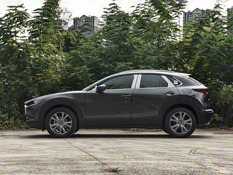 2025�� 2.0L �Զ�������