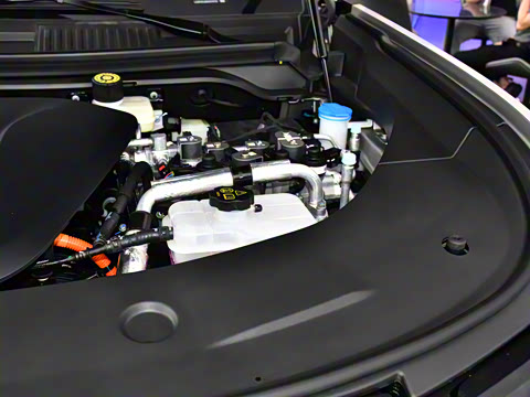 2025�� �����콢�� 5��