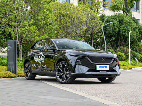 2025�� ����600 Max