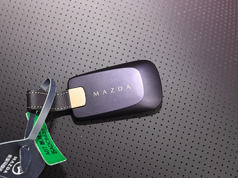 2025�� ����600 Max