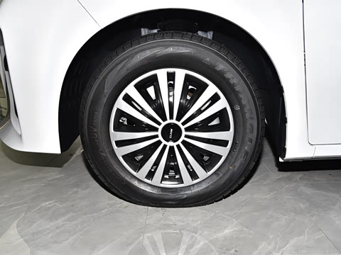 2025�� 2.0L CNG��Ӣ�� 9��