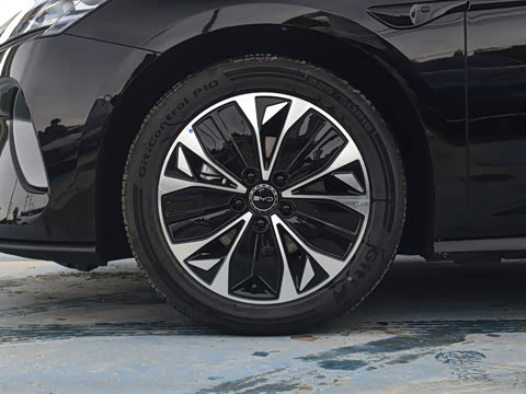 2026�� 705�콢��