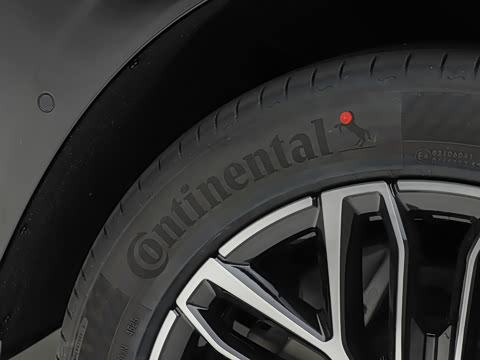2026�� ���� ����Max��