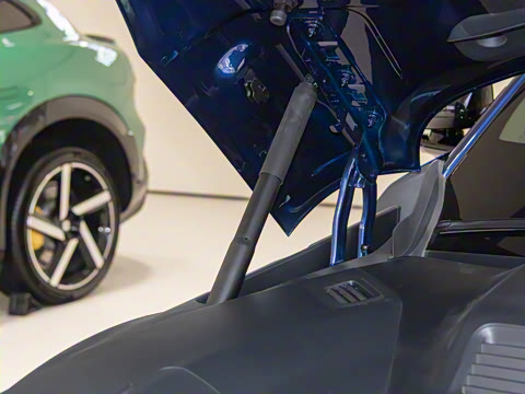 2025�� ������������Pro��