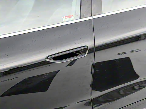 2025�� Avant �����