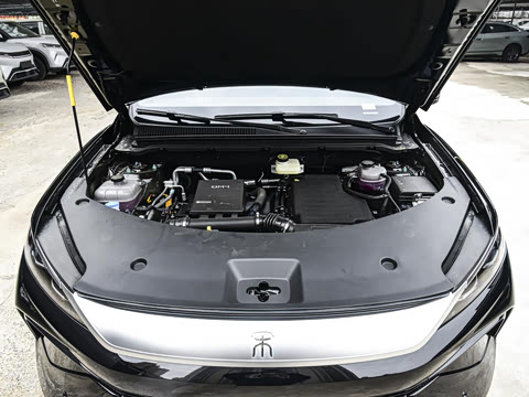 2026�� DM-i 220KM��Խ��