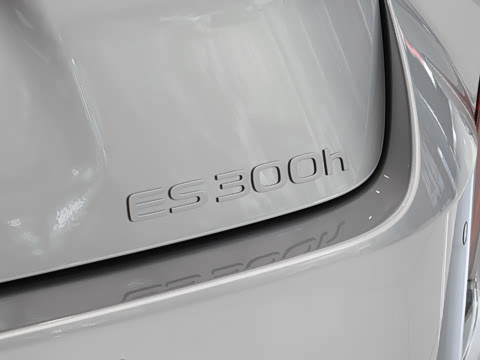 2026�� 300h