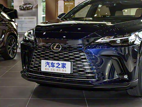 2026�� 300 ����������