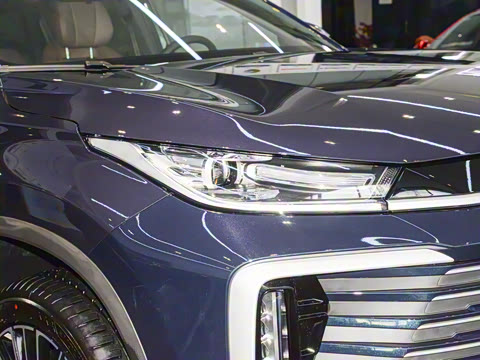 2025�� 300T ������ҹ��