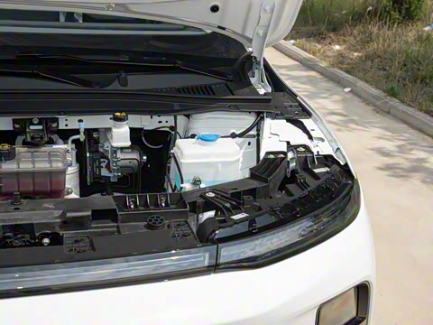 2025�� 550������