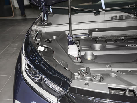 2025�� 300T ������ҹ��