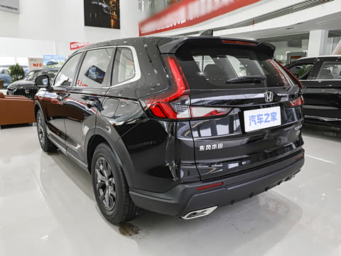 2026�� ȫ��30����ҫ�� 1.5T ��������5����
