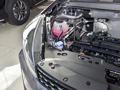 2025�� 1.5L �ֶ���Խ��