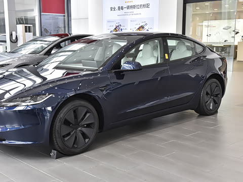 2025�� �Ŀ� ����������