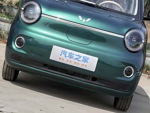 2026�� ����� 205km ���׿�