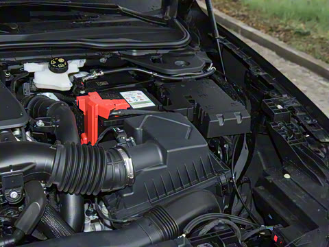 2026  2.0T  EcoBoost  