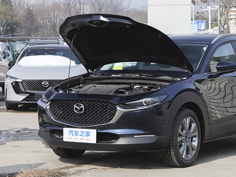 2025�� 2.0L �Զ�������