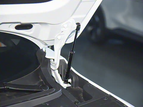 2026�� 520Max�����