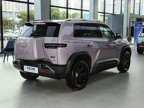 2025�� 501KM ����Max��