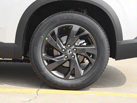 2025�� 518�����͹ھ���