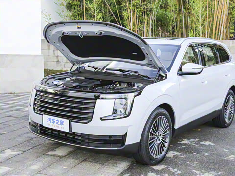 2026�� 2.0TD �Զ���Ӣ 7��