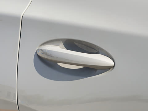 2026�� 290TGDI DCT������ 5��