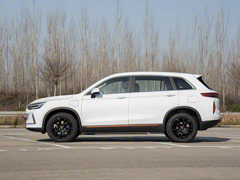 2026�� ������