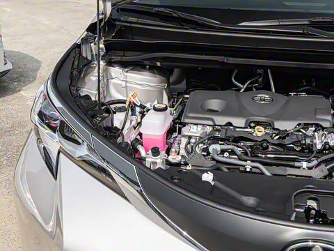 2026�� 2.5L ˫���������ʰ�