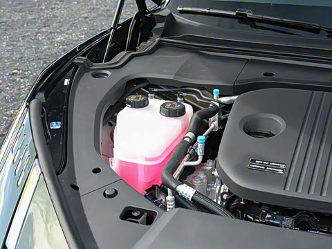 2025�� 240����Ultra�˶���