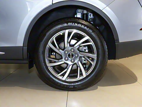 2025�� 2.0T ����������