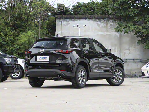 2025�� 2.0L �Զ�����������