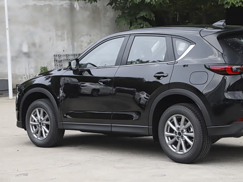 2025�� 2.0L �Զ�����������