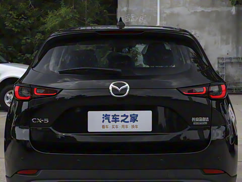 2025�� 2.0L �Զ�����������