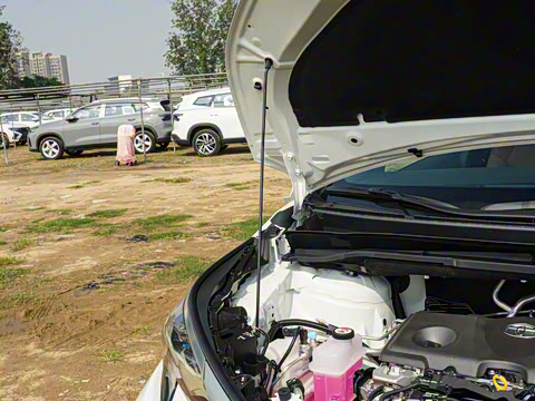 2026�� 2.5L�춯 ���ULTRA��