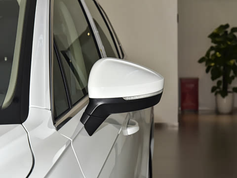 2025�� �Ŀ� 2.0TSI ��Ӱ��