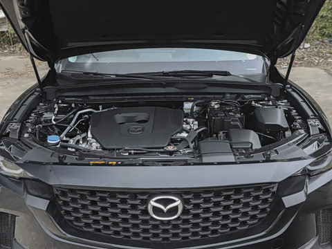 2026�� 2.5L ���а�