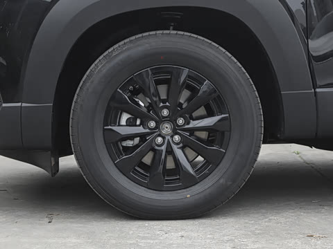 2026�� 2.5L ���а�