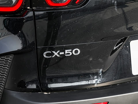 2026�� 2.0L ���а�