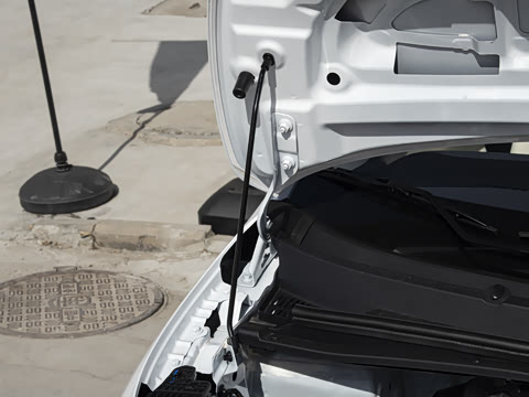 2026�� ��Ȥ��