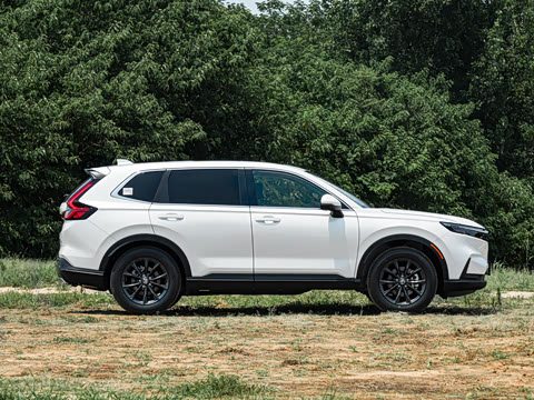 2026�� ȫ��30����ҫ�� 1.5T ��������7����